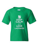 Keep Calm And Love Ladybugs Insects Bug Animal Lover Youth Kids T-Shirt Tee