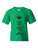 I Can't Keep Calm I'm Going To Be A Big Brother Family DT Youth Kids T-Shirt Tee