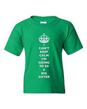 I Can't Keep Calm I'm Going To Be A Big Sister Family DT Youth Kids T-Shirt Tee