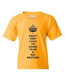 I Can't Keep Calm I'm Going To Be A Big Brother Family DT Youth Kids T-Shirt Tee