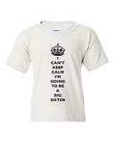 I Can't Keep Calm I'm Going To Be A Big Sister Family DT Youth Kids T-Shirt Tee