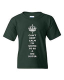 I Can't Keep Calm I'm Going To Be A Big Sister Family DT Youth Kids T-Shirt Tee