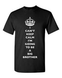 I Can't Keep Calm I'm Going To Be A Big Brother Bro Family DT Adult T-Shirt Tee