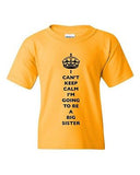 I Can't Keep Calm I'm Going To Be A Big Sister Family DT Youth Kids T-Shirt Tee